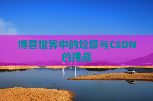 博客世界中的垃圾与CSDN的挑战